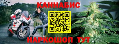 стаф Моздок
