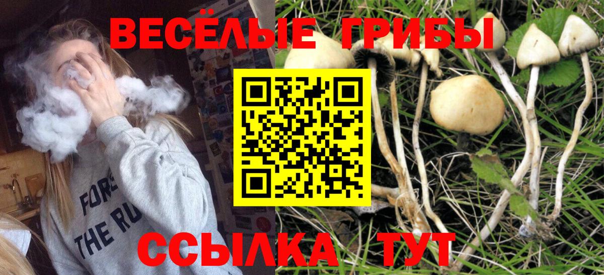 Галлюциногенные грибы ЛСД  где найти наркотики  Татарск  Вход с VPN 