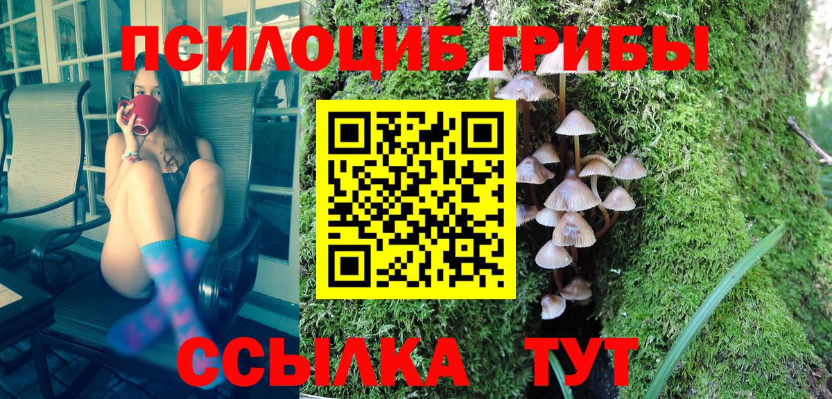 Псилоцибиновые грибы MAGIC MUSHROOMS Татарск